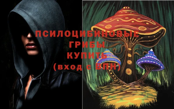 ПСИЛОЦИБИНОВЫЕ ГРИБЫ Покровск
