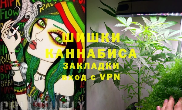 стаф Приозерск