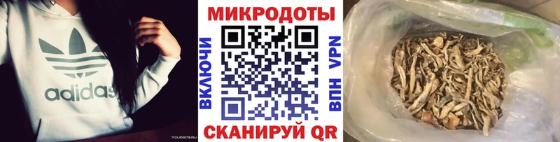 hydra ССЫЛКА  купить наркотики цена  Ветлуга  Псилоцибиновые грибы Psilocybine cubensis 